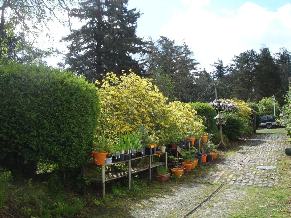 Bed and Breakfast The Clochfaen Llangurig Экстерьер фото