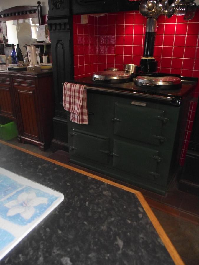 Bed and Breakfast The Clochfaen Llangurig Экстерьер фото