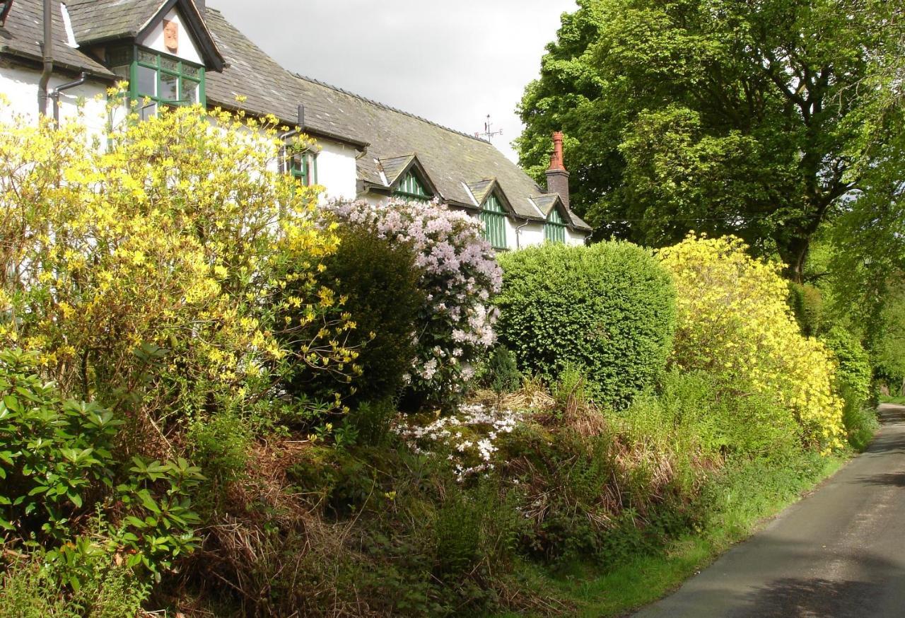 Bed and Breakfast The Clochfaen Llangurig Экстерьер фото